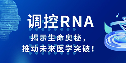 調(diào)控RNA：揭示生命奧秘，推動未來醫(yī)學(xué)突破！