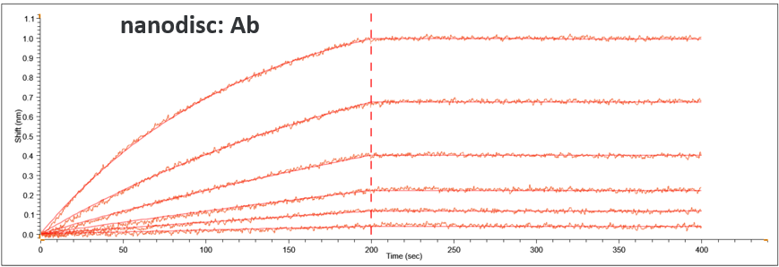納米盤形式STEAP1膜蛋白與不同濃度梯度抗體親和結(jié)果