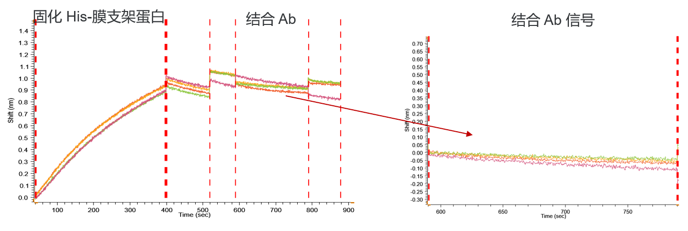 膜支架蛋白與STEAP1抗體無非特異結(jié)合